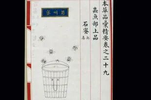 Ilustración en libro de medicina chino de 1505