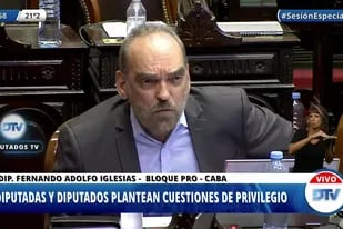 Fernando Iglesias responsabilizó al oficialismo por la demora en la constitución de las comisiones