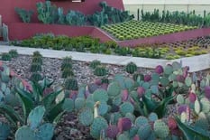 Un jardín andino diseñado para exponer la magnificencia de los cactus