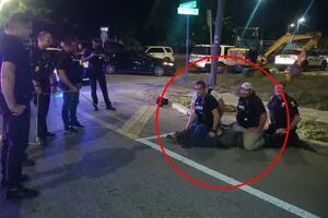 Policías pelearon contra un caimán que deambulaba por las calles de Tampa