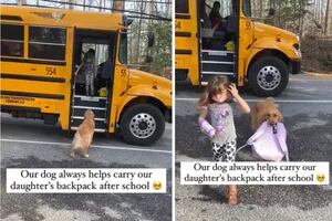 La perra que ayuda a su pequeña dueña a cargar su mochila después del colegio