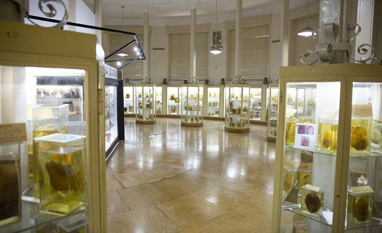 El Museo Forense se ubica en el edificio de la Morgue Judicial