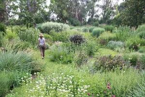 De jardín inglés a espacio naturalizado para recibir aves y mariposas
