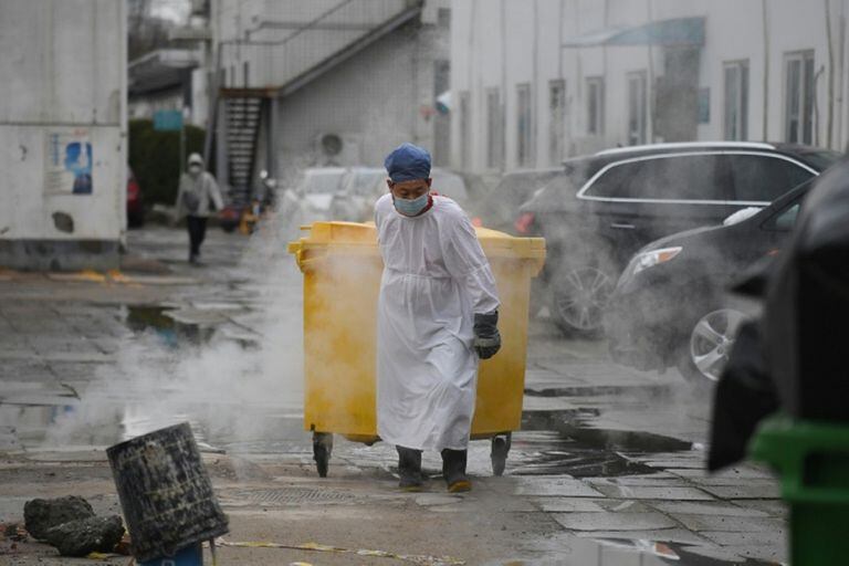 Luego de China, Japón es el país más afectado del mundo por la epidemia