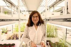 Raquel Chan: “En la ciencia argentina, la resistencia al mundo del agro es muy minoritaria”