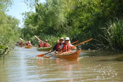 Salida en Kayak por el Delta del Paraná.