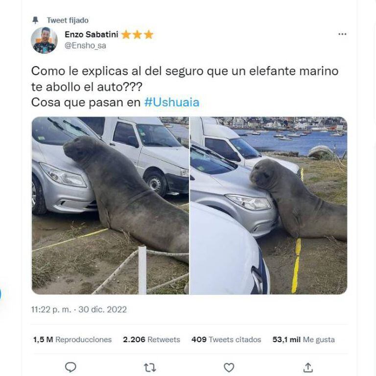 El tuit con el elefante marino apoyado en la parte delantera de un auto en Ushuaia alcanzó pronto el status de viral