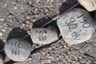 La imagen muestra algunas de las 20.000 piedras alineadas a lo largo de la carretera para conmemorar a las víctimas del coronavirus de Hungría, el 2 de abril de 2021 en la Isla Margarita en Budapest