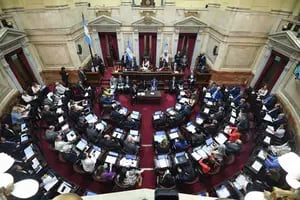 Cartas de lectores: Voto en el Senado, escandalizados, fuerzas en Rosario