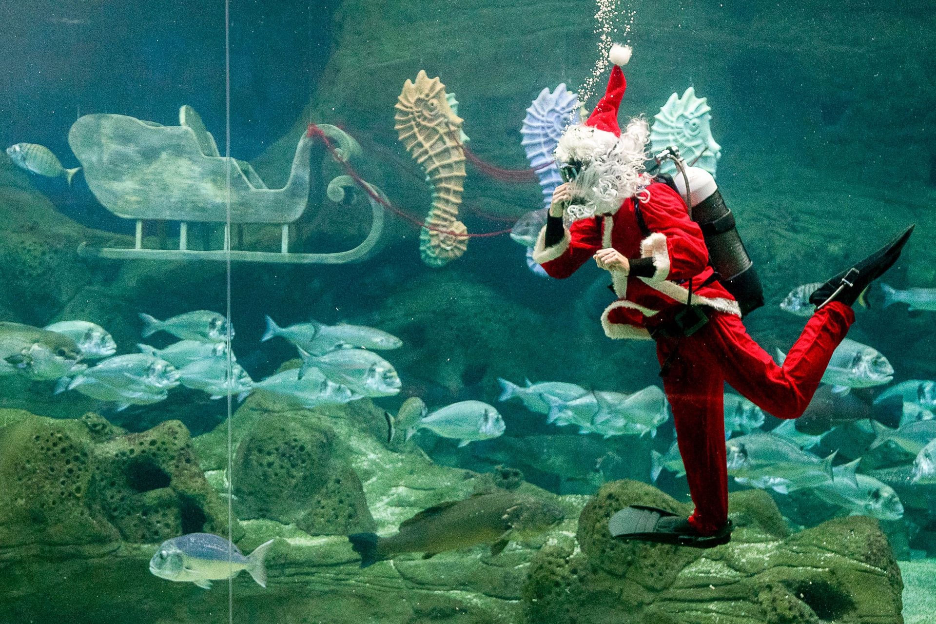 Un buzo disfrazado de Papá Noel se presenta en un acuario en Heraklion, Creta