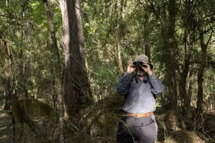 El guía Santiago Carrillo observa aves con binoculares en el PN Baritú