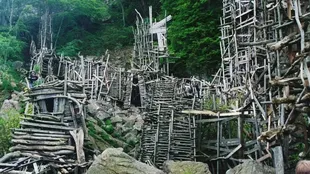 Nimis is a series of wooden sculptures in a nature reserve