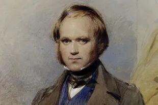 Charles Darwin recorrió entre 18