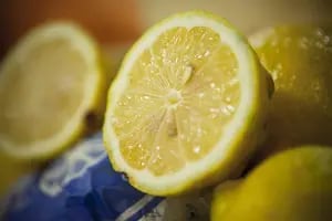 El residuo del limón que es un excelente alimento en una actividad clave