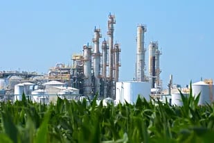 Biocombustibles: exsecretarios de Energía proponen prorrogar el actual régimen