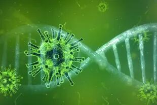 Cada vez que le virus se transmite, puede acumular cambios en su material genético