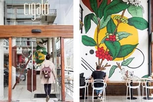 El mural de la planta de café gigante que expresa la identidad de Cigaló es de la artista Dana Alessi.