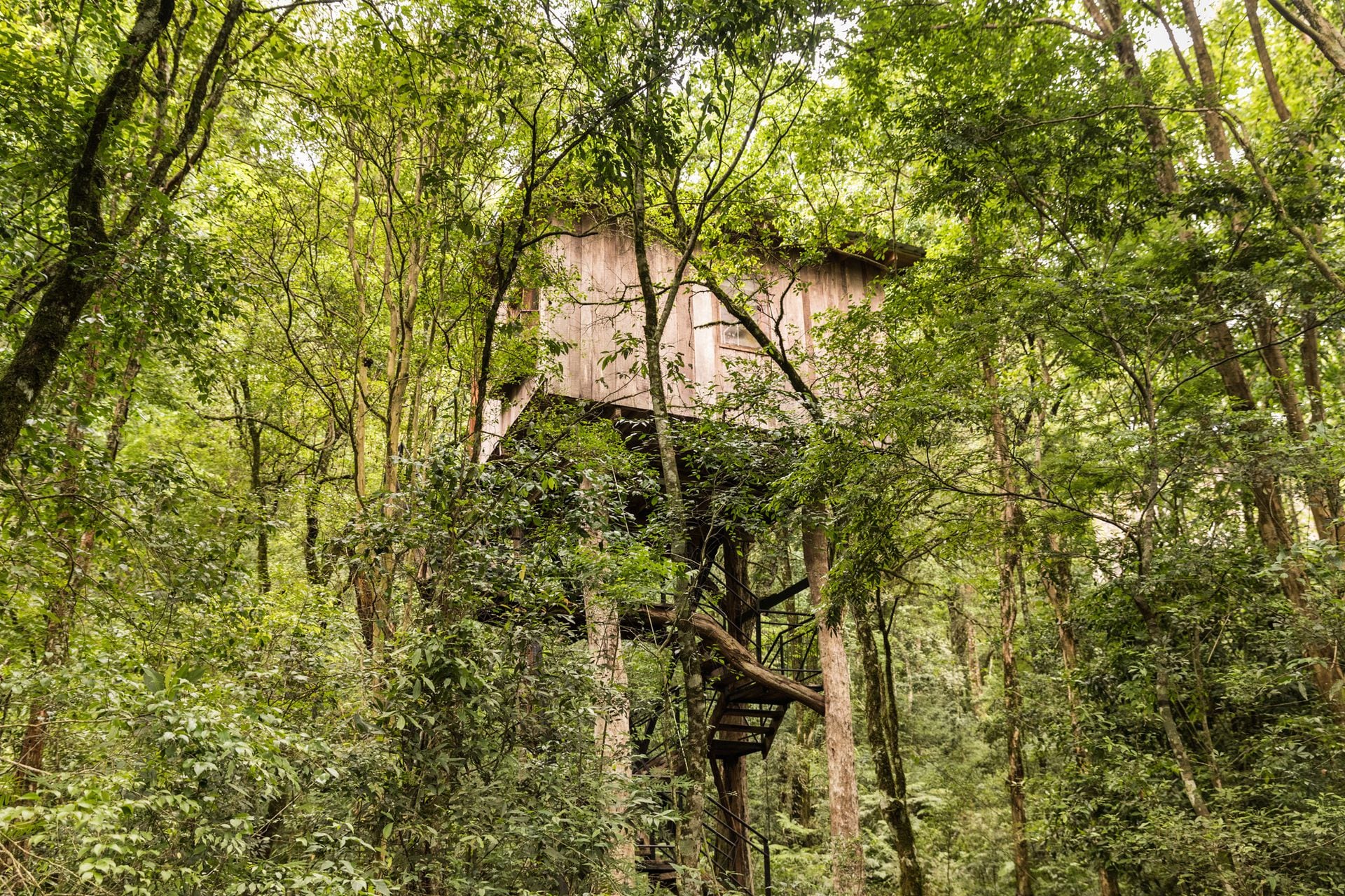 Las habitaciones están en medio de la selva paranaense.
