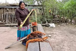 Guillermina Gómez muestra cómo secaron el "chaguar", la palma con la que tejen sus artesanías y de dónde proviene el nombre de la asociación Chitsaj