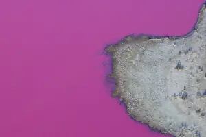 Lago rosado de Melbourne: impresionantes imágenes del nuevo atractivo turístico