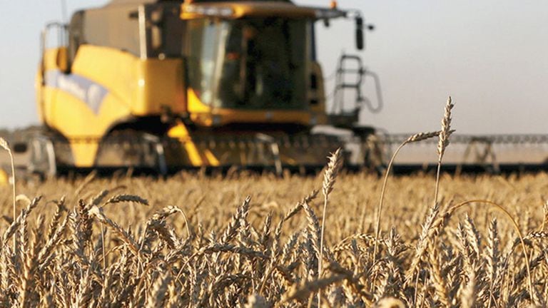 During the 2021/2022 campaign, Russia and Ukraine could export 59.20 million tons of wheat