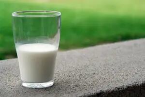 Quiénes no deberían tomar leche y por qué es mejor evitar un autodiagnóstico