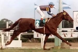 El caballo de físico pobre al que atendió un kinesiólogo, “empujó un ángel” y ganó la carrera del millón de dólares