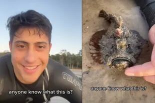 Este joven estuvo en contacto con uno de los peces más peligrosos del mundo sin darse cuenta