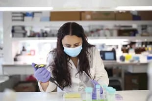 El equipo está liderado por la bióloga e investigadora del Conicet Juliana Cassataro, del Instituto de Investigaciones Biotecnológicas (IIB) de la Unsam.
