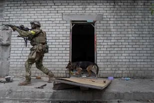 Un militar ucraniano patrulla en una misión de reconocimiento en un poblado retomado poco antes a las afueras de Járkiv, en el este de Ucrania, el sábado 14 de mayo de 2022.. (AP Foto/Mstyslav Chernov)