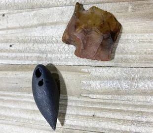 Dos piezas arqueológicas fueron descubiertas en el estómago de un caimán