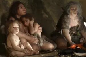 El inédito hallazgo de una familia neandertal confirma datos claves para entender por qué desaparecieron