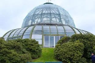 En los jardines del Palacio Real de Laeken, Leopoldo II ordenó construir este invernadero para celebrar la adquisición del Congo