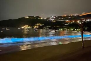 El fenómeno se llama bioluminiscencia y no sucedía en Acapulco desde hace 60 años.