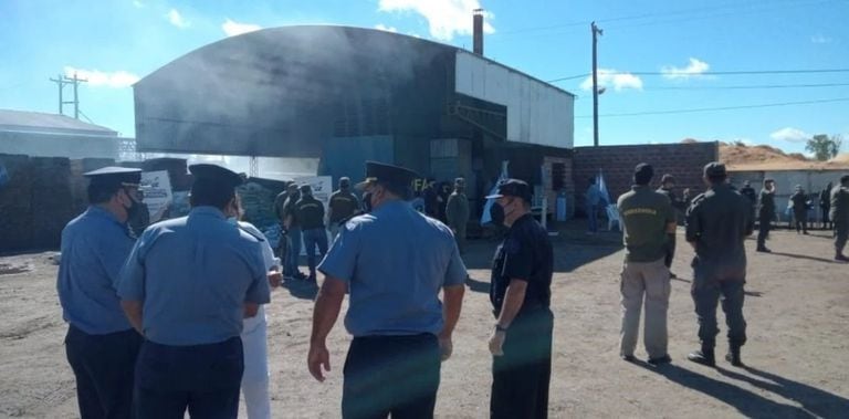 El intendente de Colonia Libertad, Corrientes, frenó la destrucción de los estupefacientes
