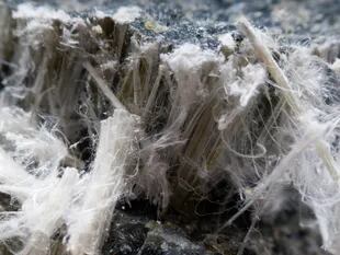 Una imagen de cómo los filamentos del asbesto se acumulan en otras superficies