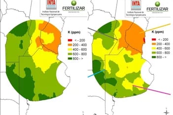 Surge un nuevo problema en el horizonte de la agricultura argentina