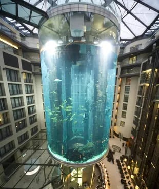 El acuario cilíndrico medía 16 metros de altura y era el más grande de su tipo