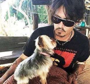 Johnny Depp junto a uno de sus perros junto a Amber Heard