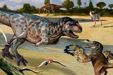 Cómo era el dinosaurio carnívoro descubierto en Neuquén y por qué es una pieza clave