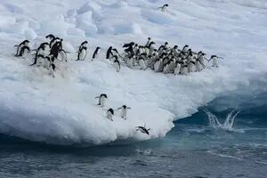 La Antártida, el majestuoso y bello continente blanco que posee las reservas de agua dulce más grandes del planeta