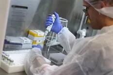 Coronavirus: las impactantes cifras de seis meses de pandemia