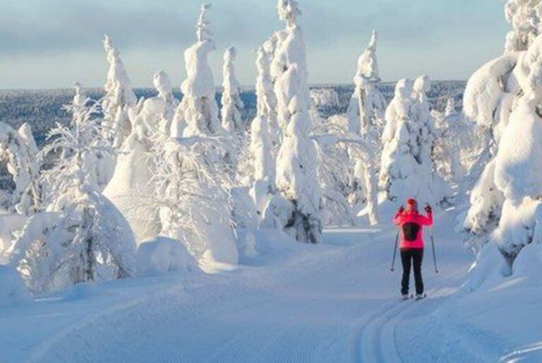 Gran parte del año, el paisaje finlandés es totalmente blanco