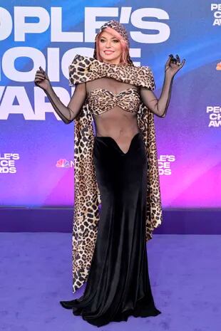El look de Shania Twain fue uno de los más arriesgados de la noche. La cantante combinó estampas de leopardo, tul y falda de terciopelo convirtiéndose en una de las más llamativas de la alfombra roja