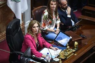 La santiagueña Claudia Ledesma presidió la sesión del Senado ante la ausencia de Cristina Kirchner
