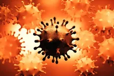 Qué se espera de las variantes XD, XE y XF del coronavirus