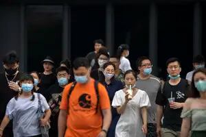 Detectan en China 35 casos en humanos de un nuevo tipo de henipavirus de origen animal: cuáles son los síntomas