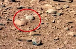 Los aficionados especularon que se trataba de una supuesta "ardilla" en Marte