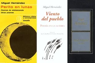 "Perito en lunas", primer libro de Hernández; "El rayo que no cesa" y "Poesías escogidas"