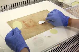 Hongos, bacterias, virus y ADN humano presentes en dibujos de Leonardo Da Vinci